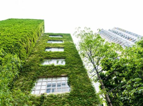 BREEAM LEED WELL FITWEL sertifikavimas